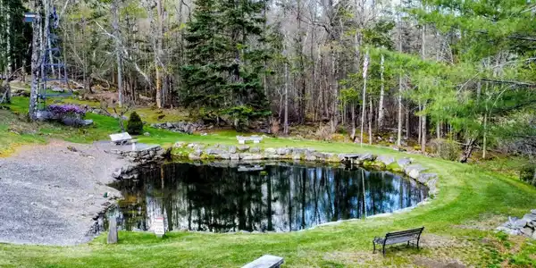Image 2: Private spring fed pond