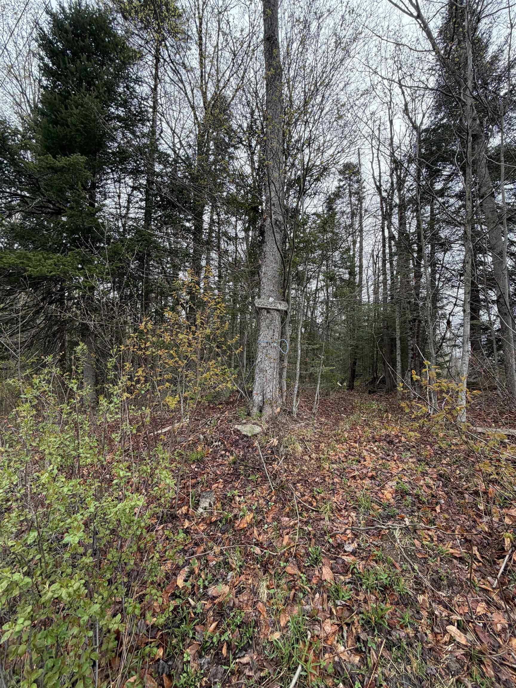 Image 4 Image 4