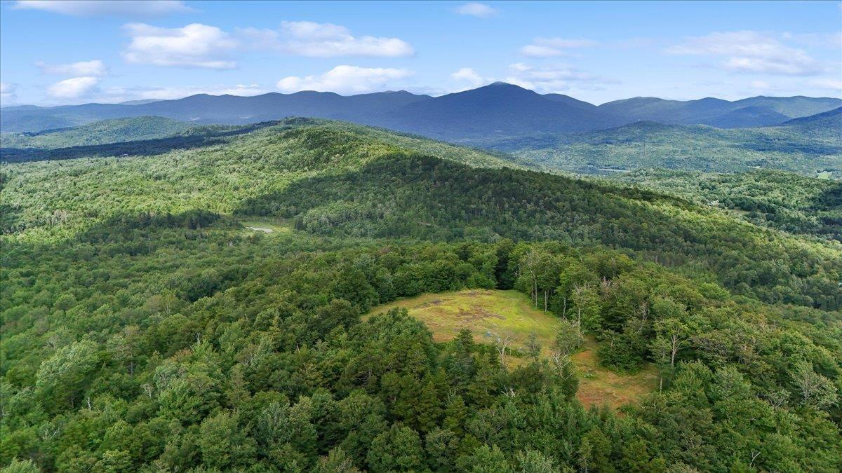 Image 1 Image 1