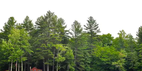 Image 2: Camp From Lake Pauline