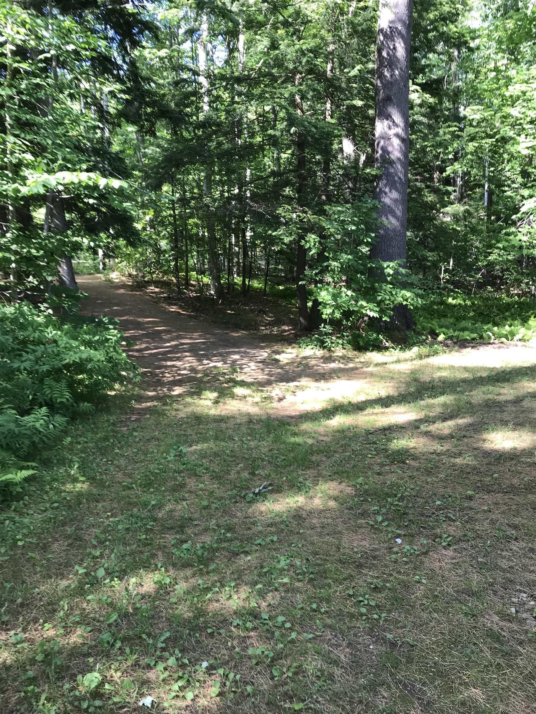 Image 4 Image 4
