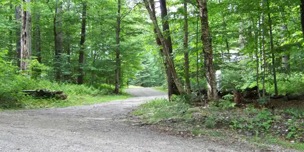 Image 4: Private Driveway
