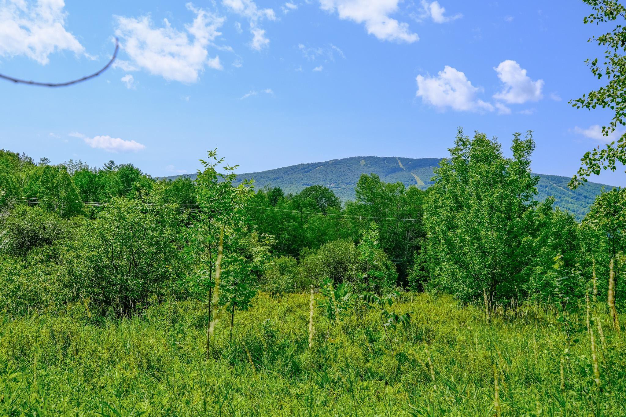 Image 1: View of Okemo Mountain Image 1: View of Okemo Mountain