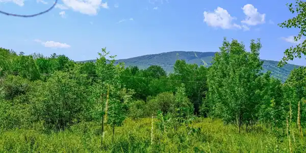 00 Town Farm Road