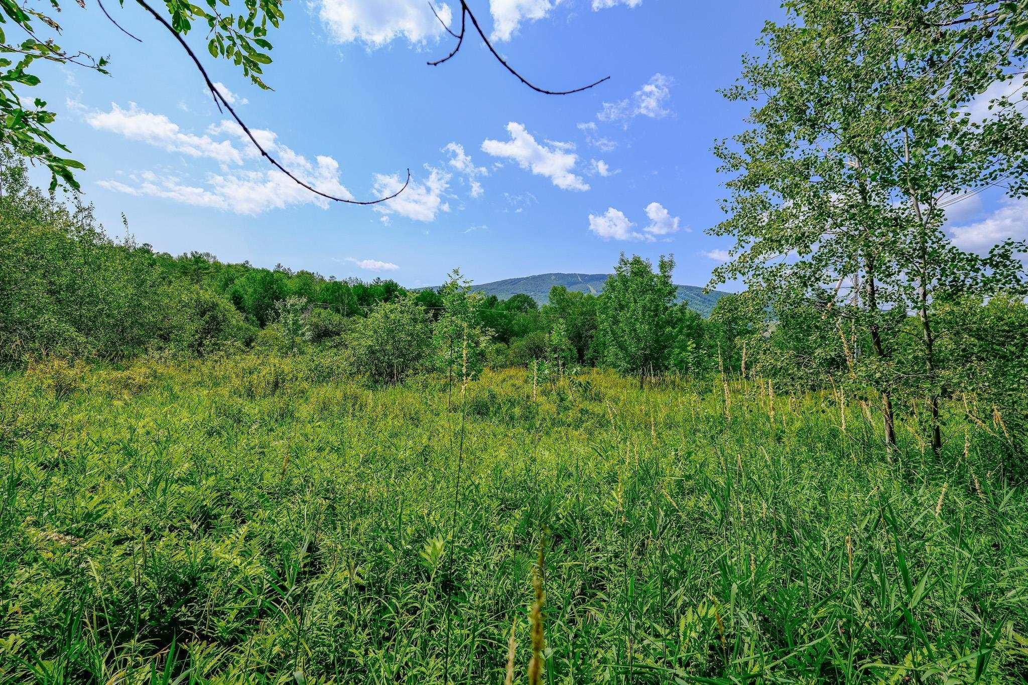 Image 4: 1.00 +/- acre lot Image 4: 1.00 +/- acre lot
