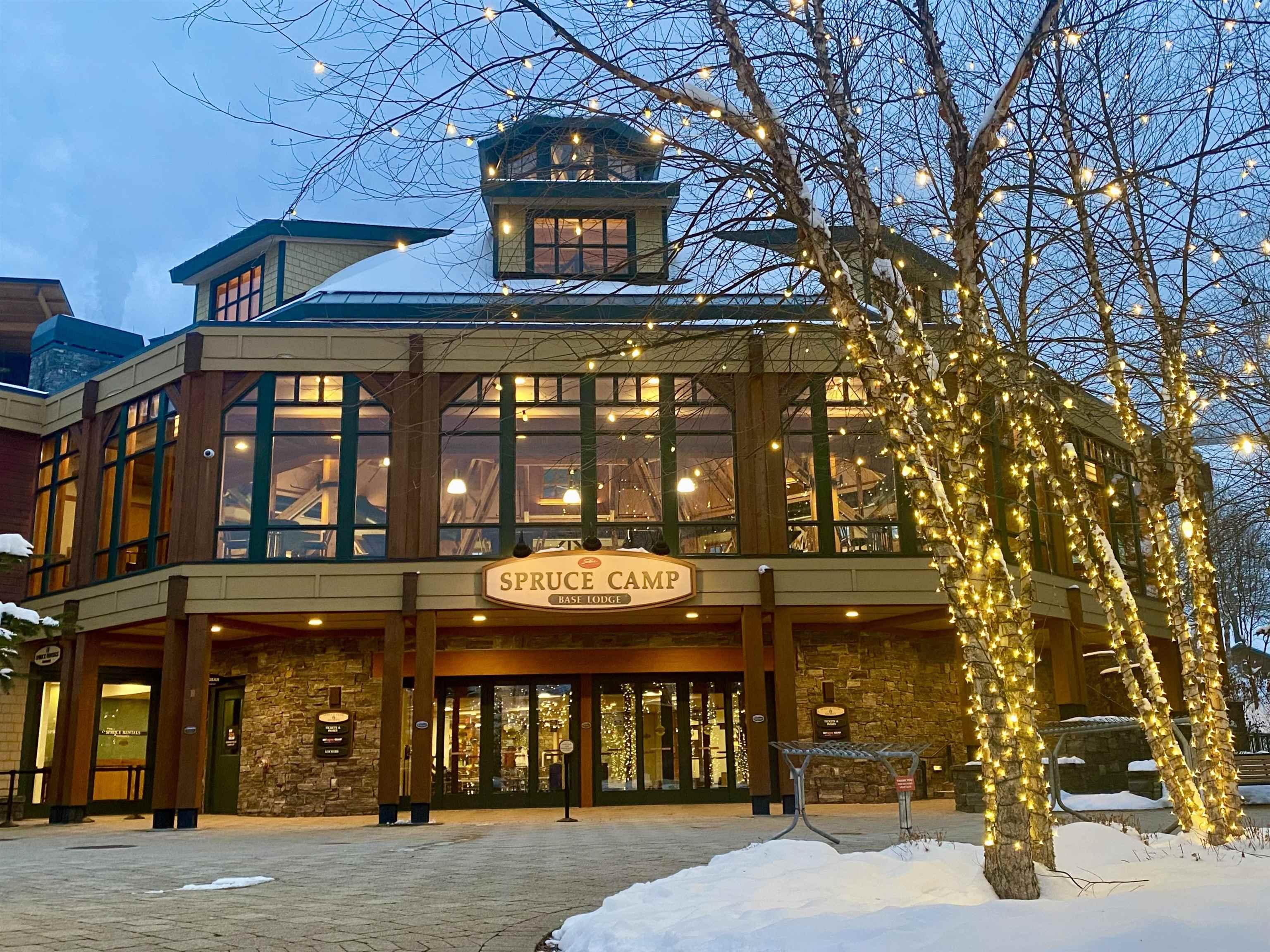 Image 3: Spruce Camp