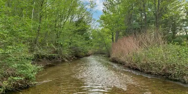Image 4 Image 4