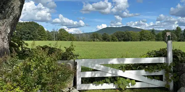 Image 3: Mountain View