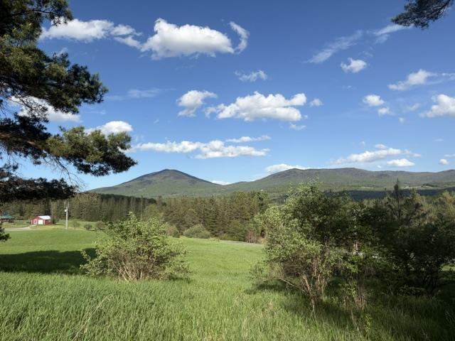 Image 1 Image 1