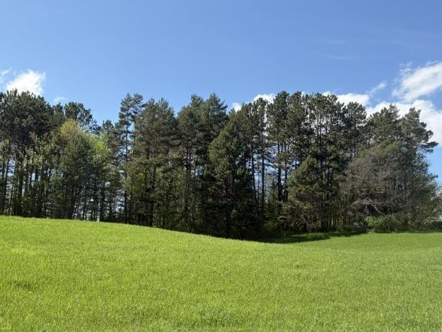 Image 2 Image 2