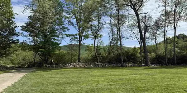 Image 2: BEAUTIFUL LEVEL YARD