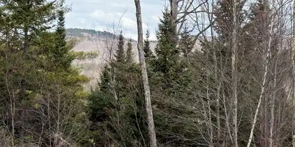 390 NH Route 118