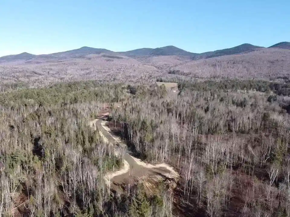 Image 1 Image 1