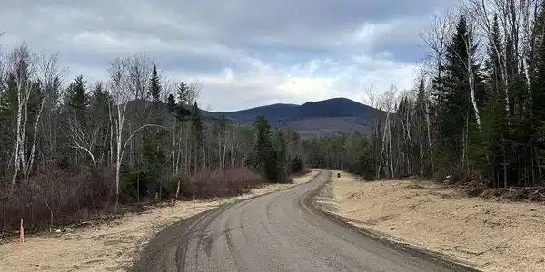 Image 4 Image 4