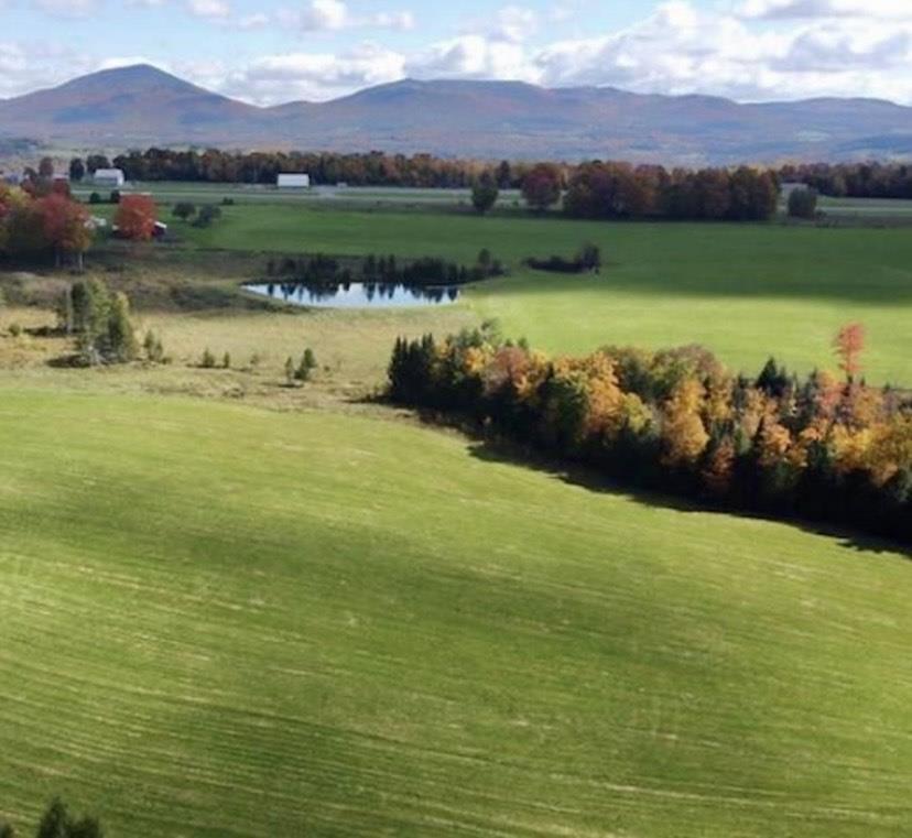 Image 2: Beautiful trout pond!