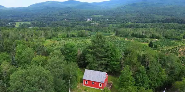 Image 2: Aerial - Left