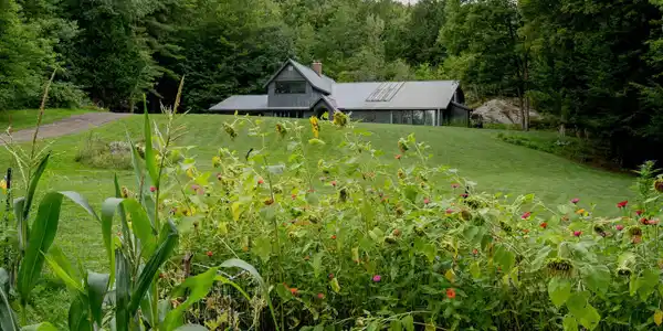 Image 4: Peeking Through the Garden