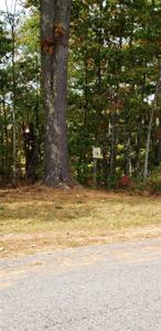 53 Deadreckoning Point