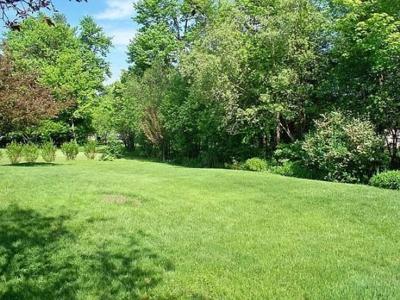 11 Elmwood Drive