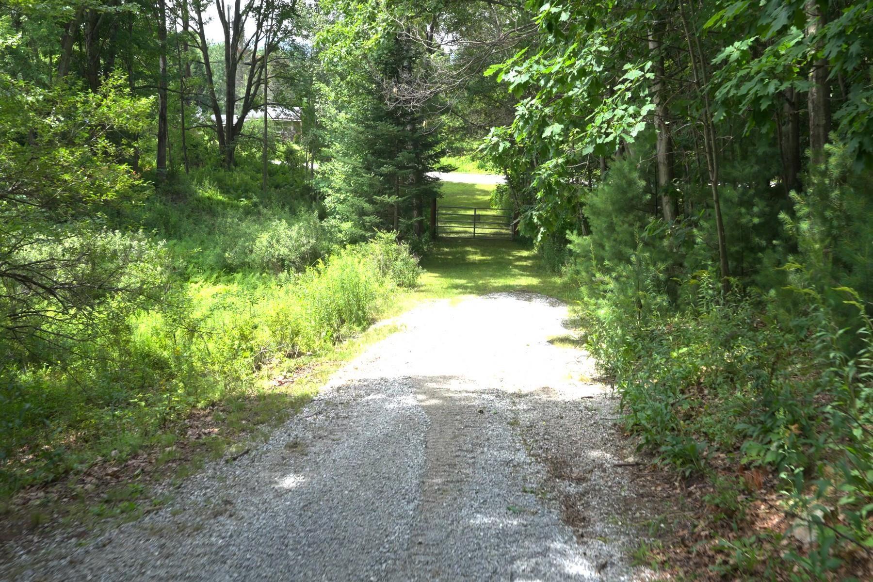 Image 3: One of many Paths Image 3: One of many Paths