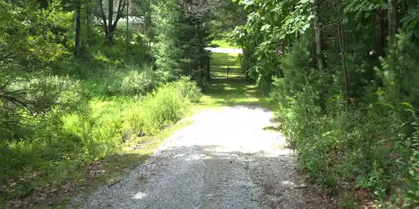 Image 3: One of many Paths