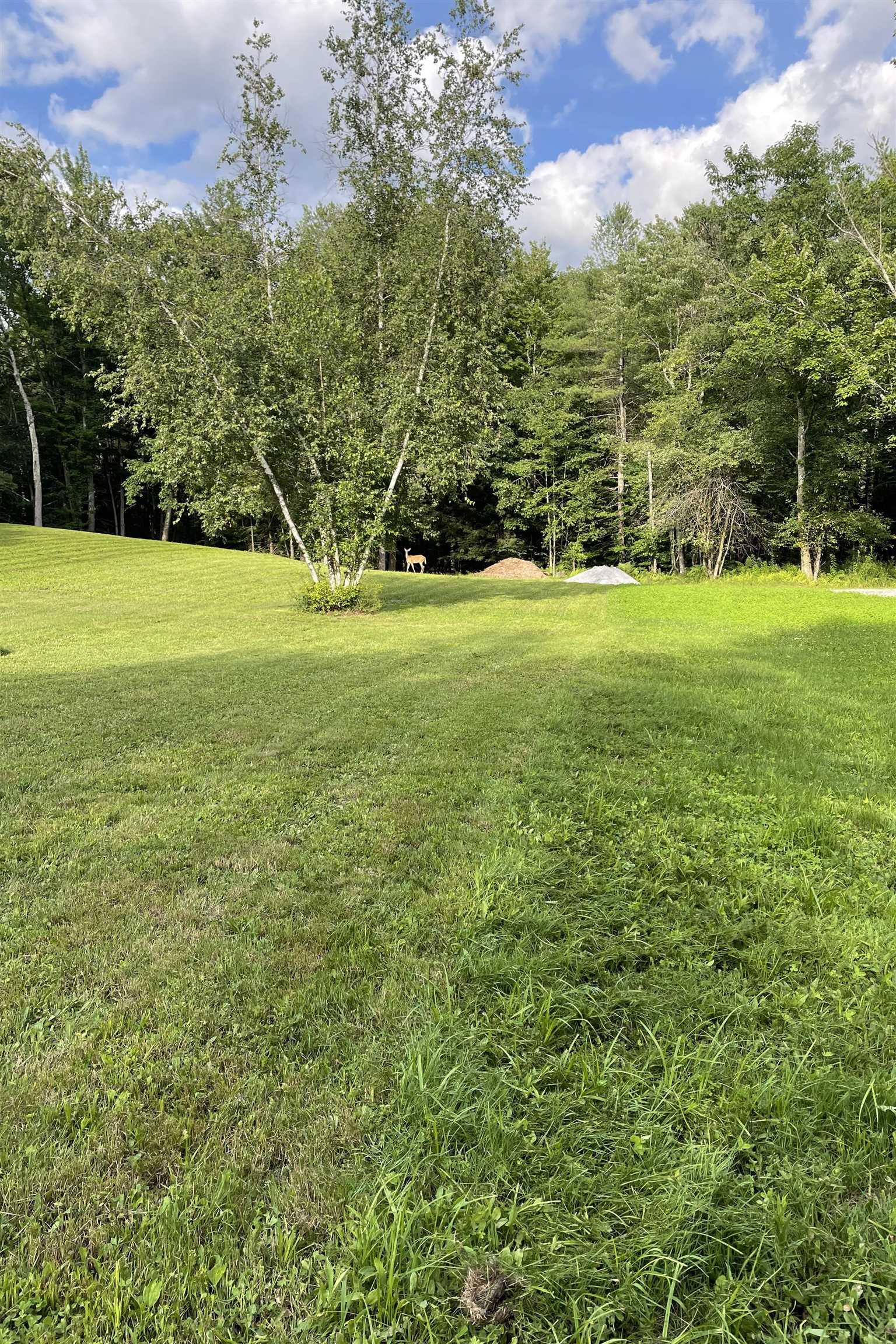 Image 4 Image 4