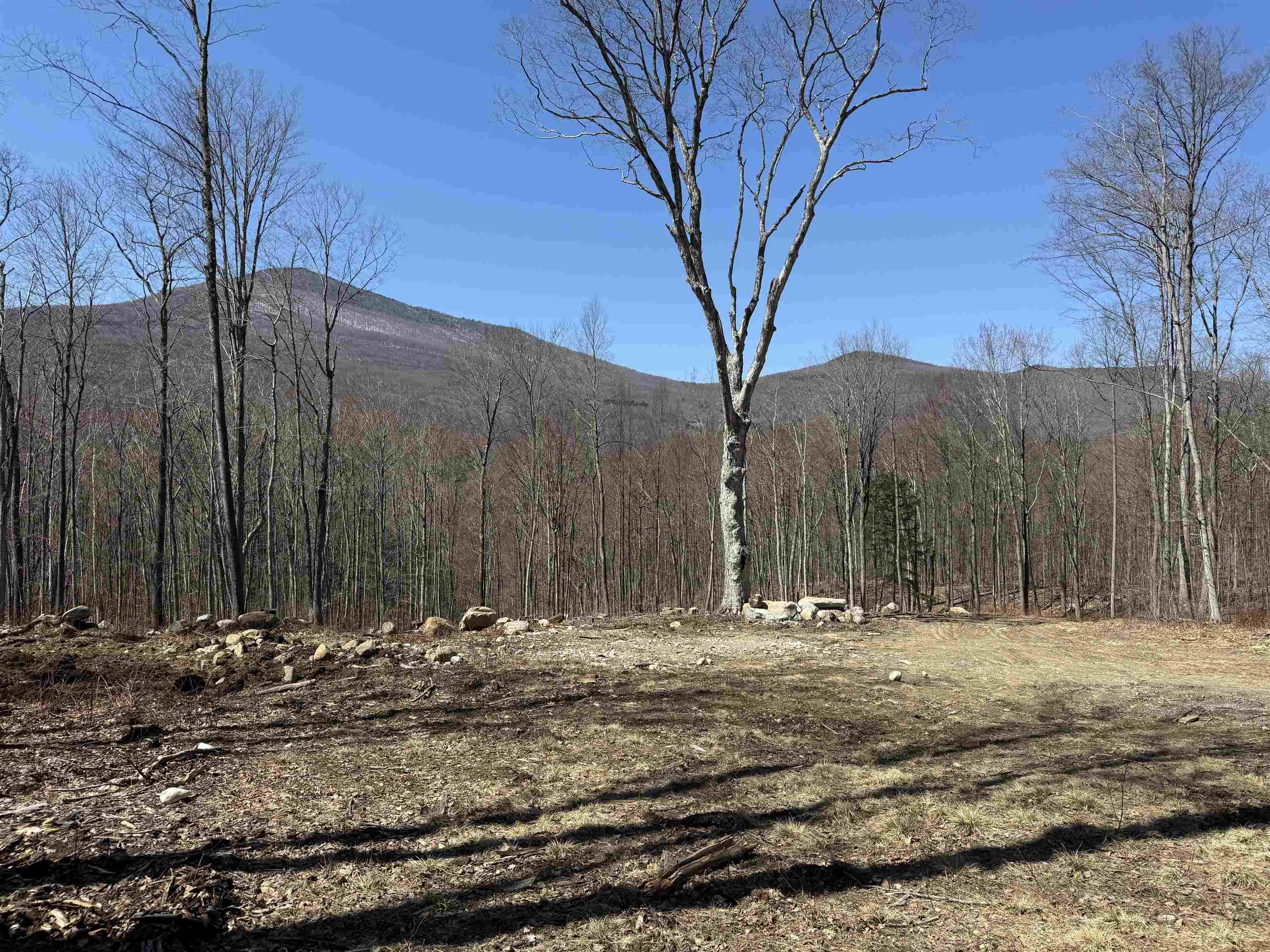 Image 3 Image 3