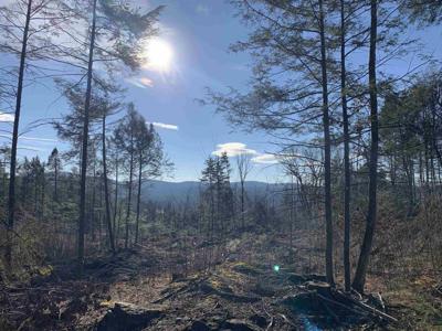 Map3 Lot9-1 Scotland Road