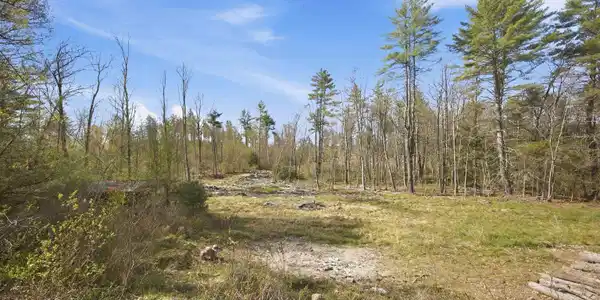 Image 4 Image 4