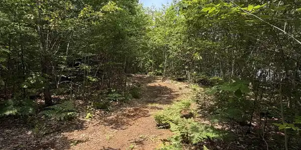 Map 206 Lot 28 Whittier Road