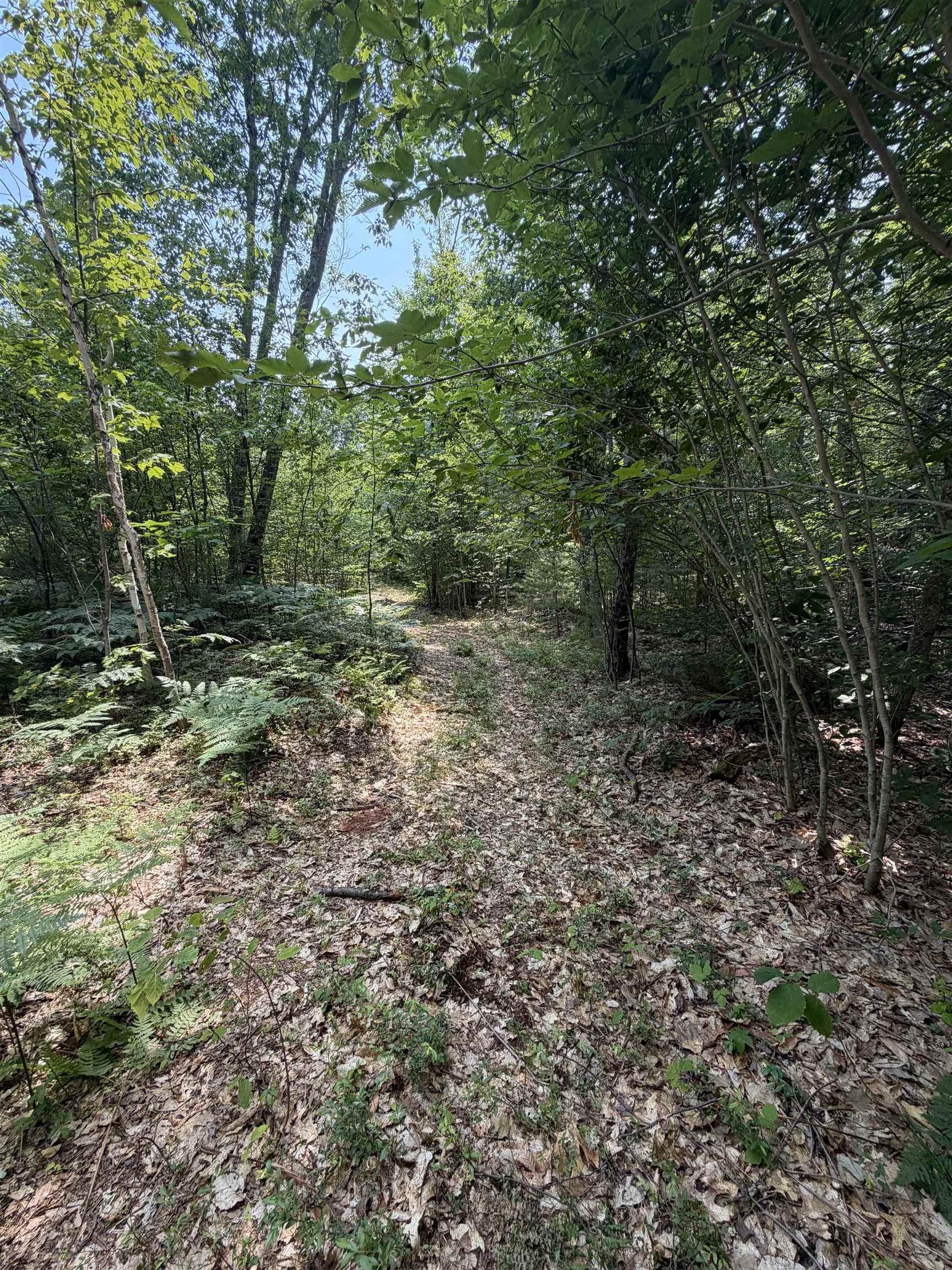 Image 3 Image 3