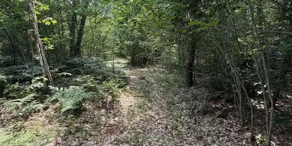 Image 3 Image 3