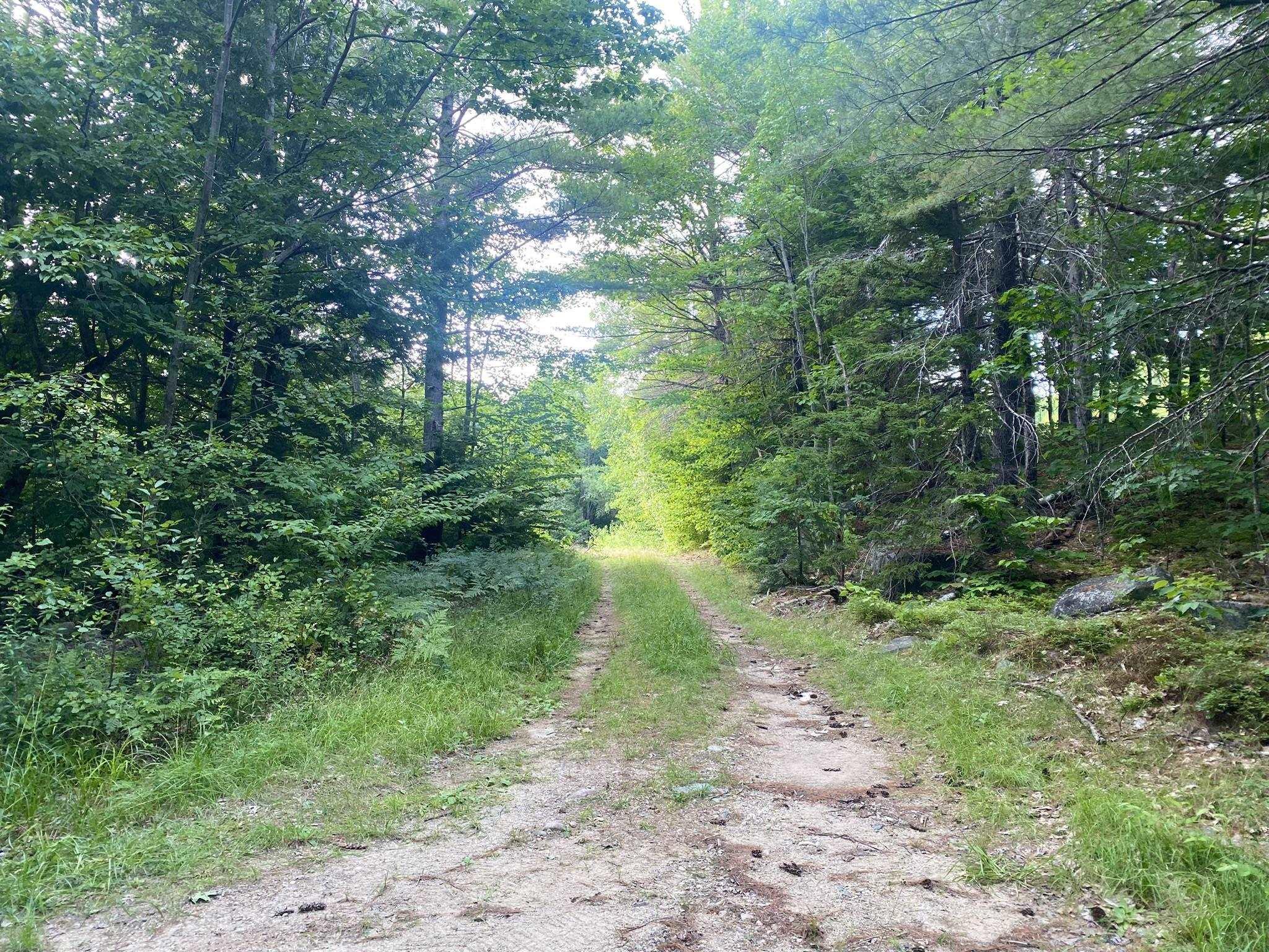 Image 3 Image 3
