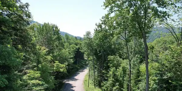 00 Plunkton Road