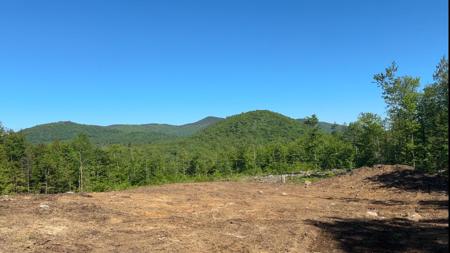 314 Ossipee Mountain Road