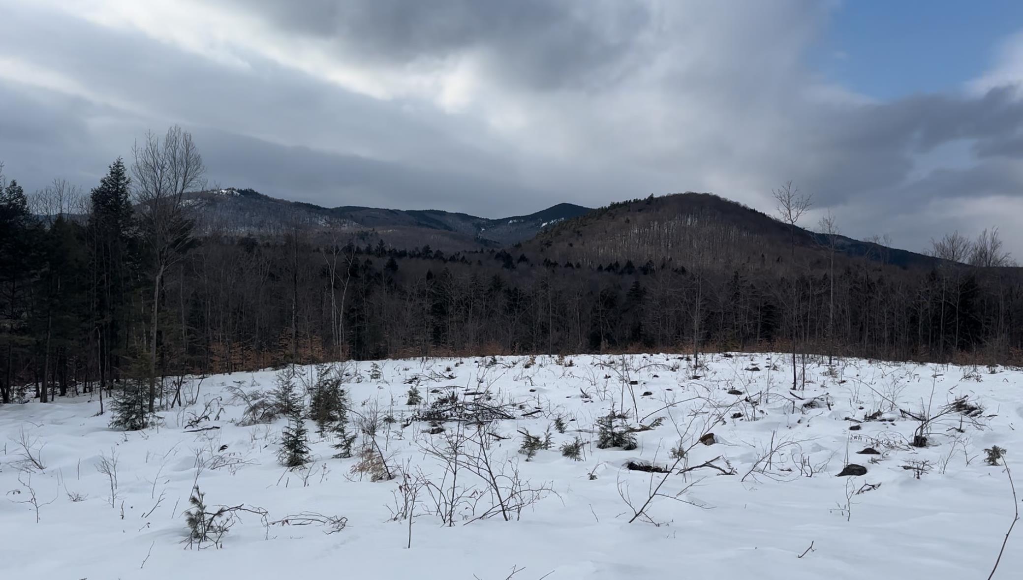 Image 4: Winter Image 4: Winter