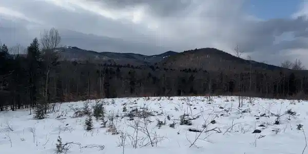 Image 4: Winter Image 4: Winter