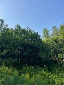 TBD Strawberry Hill Road