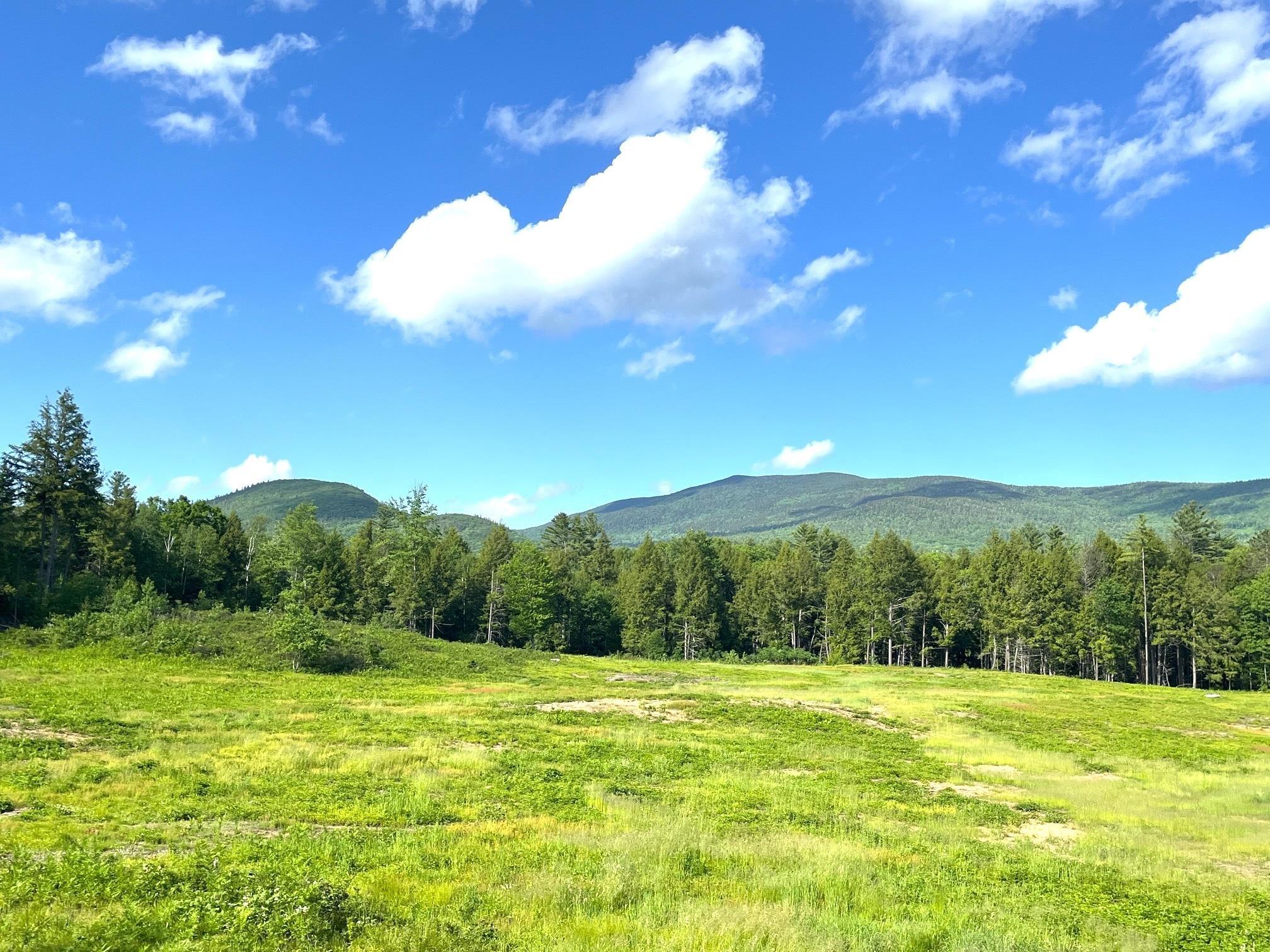 Image 2: Established field / pasture Image 2: Established field / pasture