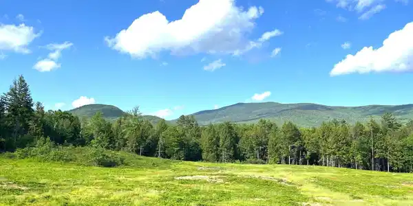 Image 2: Established field / pasture
