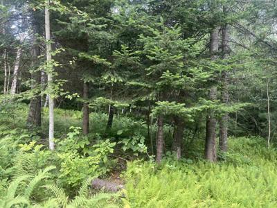 Lot 4 Aldrich Mountain Lane