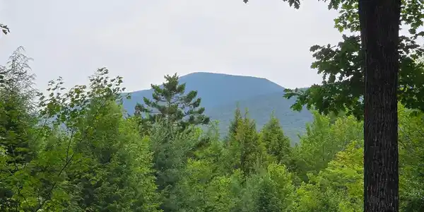 00 Stimson Road