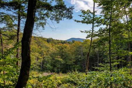 00 West Ledge Road