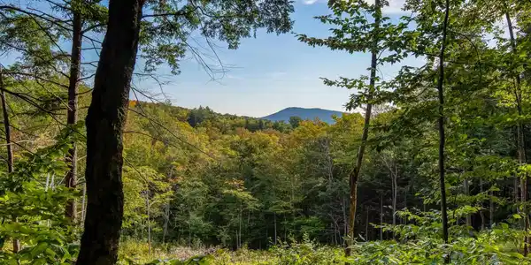 00 West Ledge Road