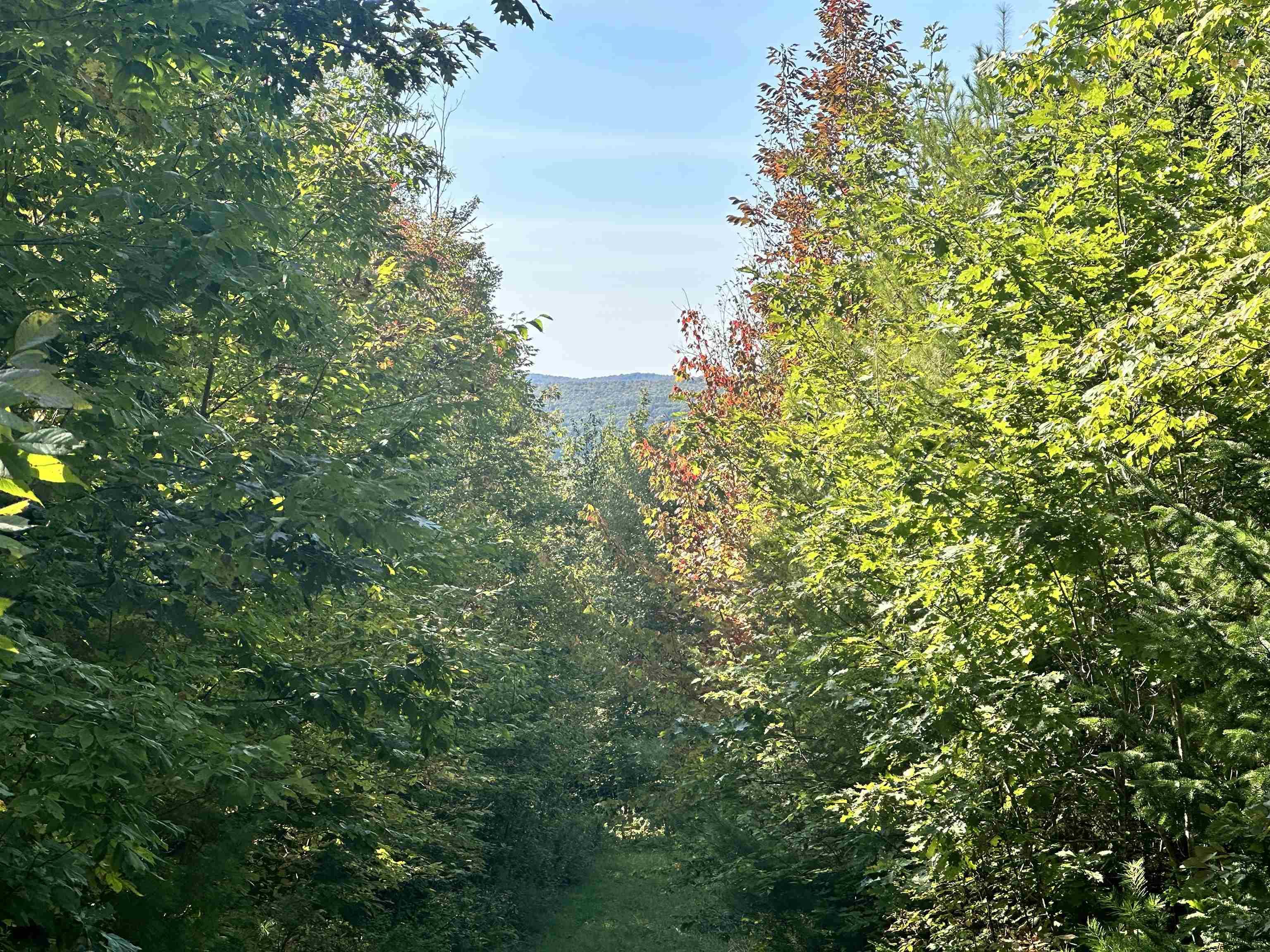 Image 3 Image 3