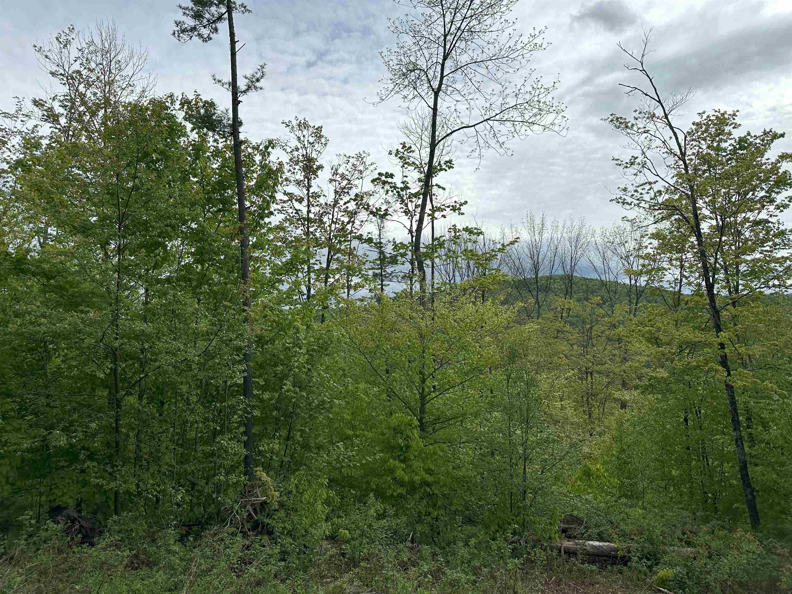 Image 2 Image 2