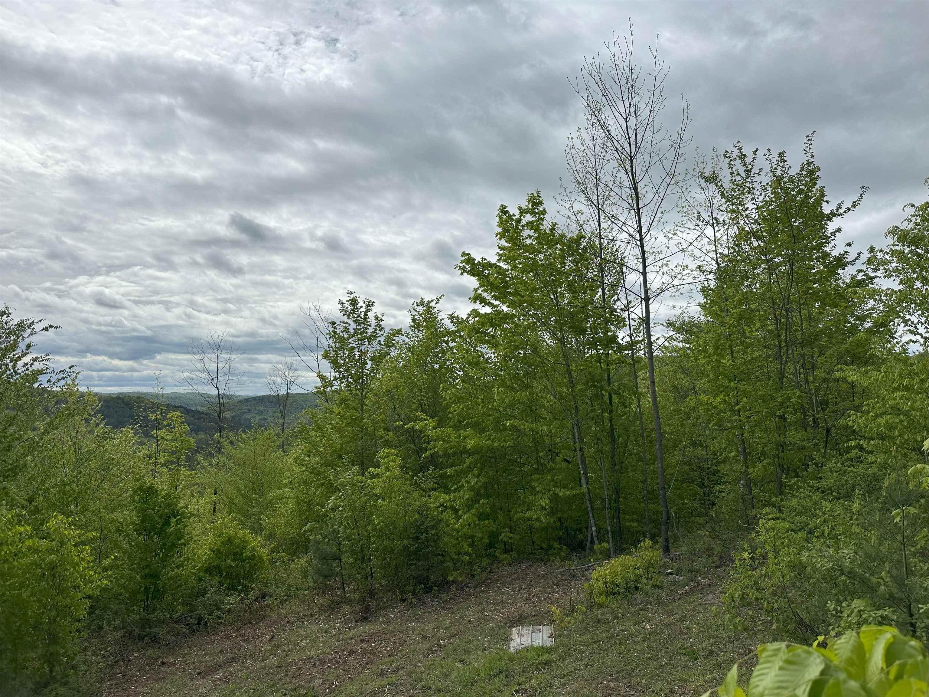 Image 3 Image 3