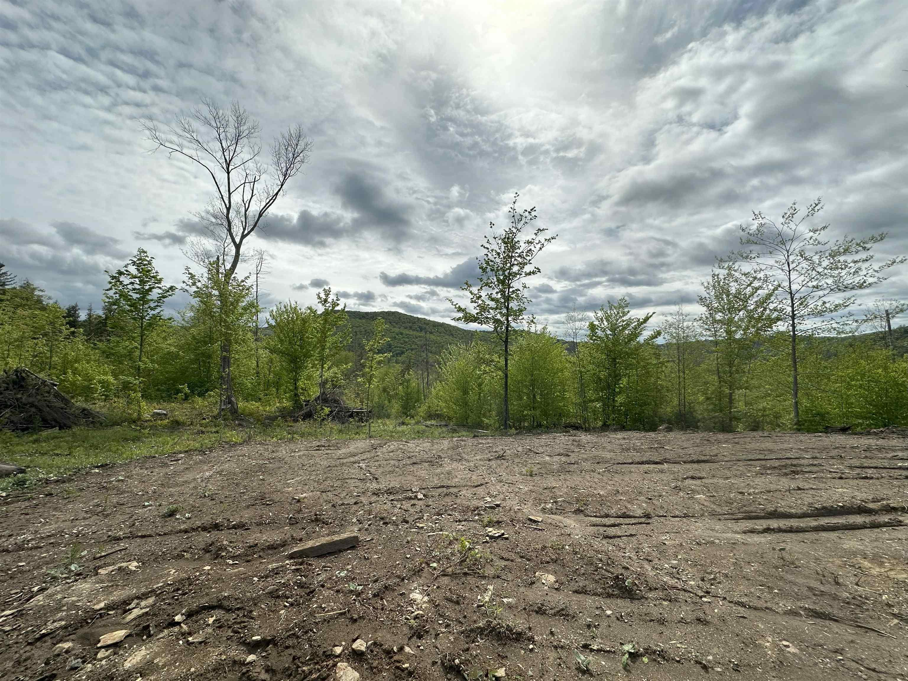 Image 4 Image 4