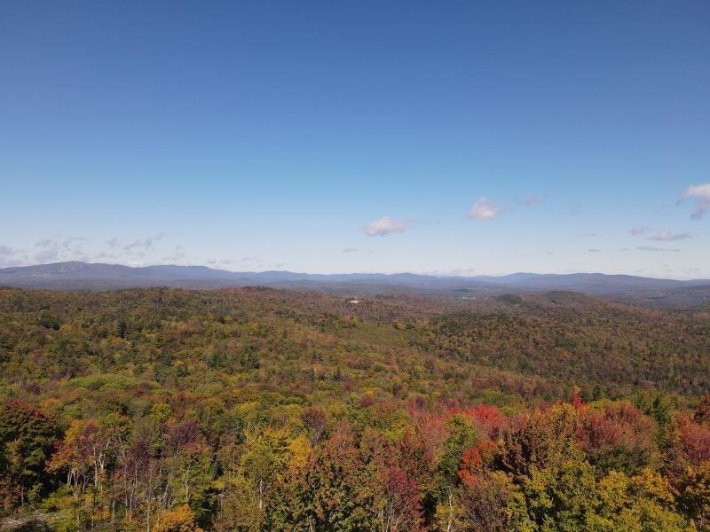Image 1 Image 1