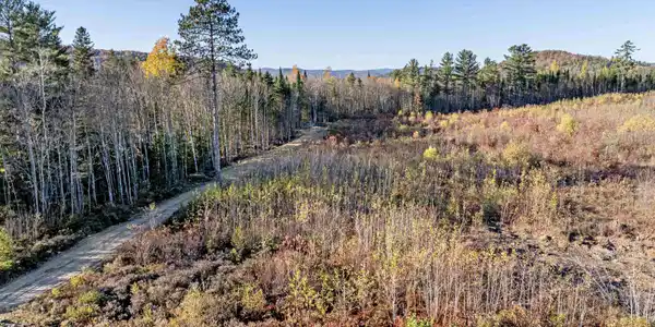 Lot 1 McIntyre Road